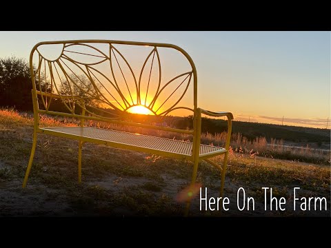 Creating a Banana Outdoor Shower