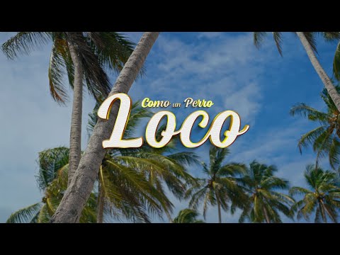 JULIAN PICHARDO - COMO UN PERRO LOCO, DIR BY CHRIS BLANCO