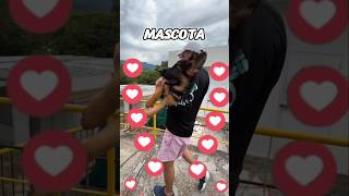 Un meteorito viene a la tierra y solo puedes llevar un objeto a tu BUNKER ¿Cual llevarías?🌑😱