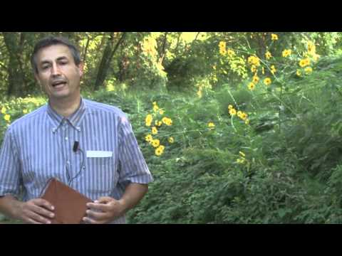 Il guardiano delle parole e il racconto dell'argilla - 1. Con don Paolo Chiapparoli.