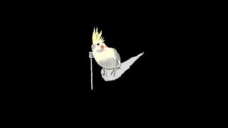 お絵かき『視聴者参加型』