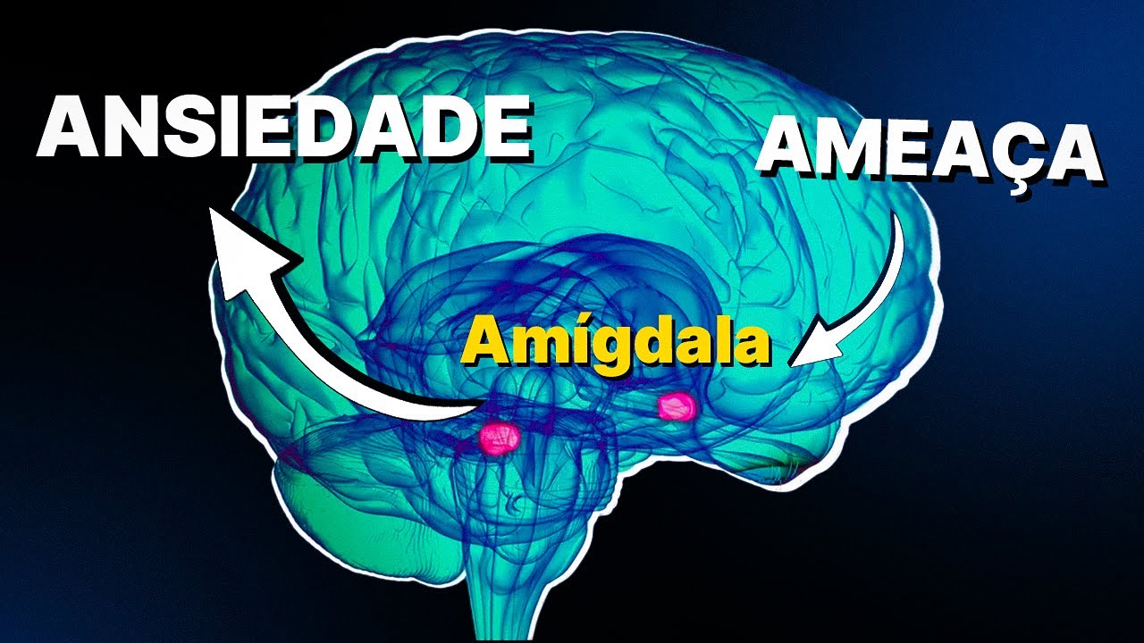 COMO você APRENDE a SER ANSIOSO