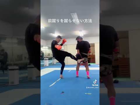もう前蹴りは二度と蹴らせない！
