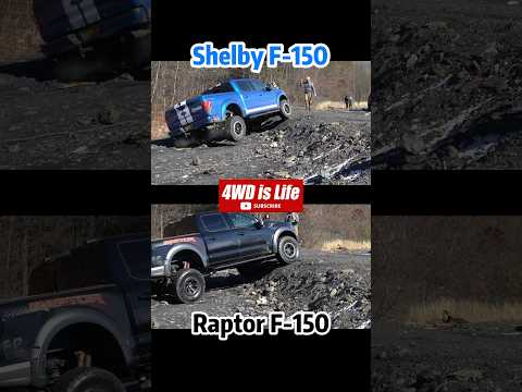 Ford F150 Shelby vs Raptor - Offroad comparison suspension flex test #offroad #shelbyf150 #raptor