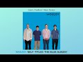 Weezer Blue Album Album Review