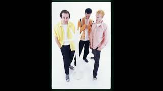 The Mr T Experience - When I Lost You (RAD-020, 2022 re-issue)