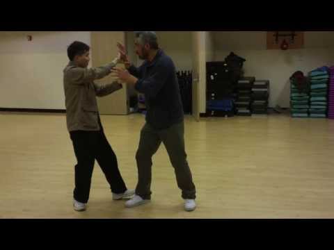 8-energy 5 Steps 13 Postures, 八門五步 十三勢 (all)