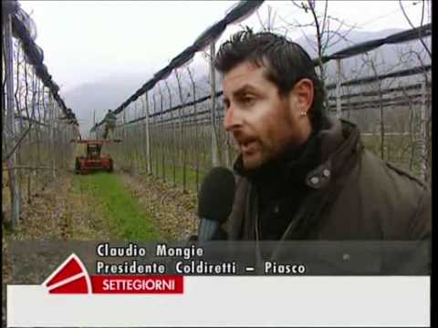Piasco su RAI1