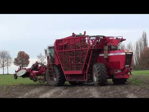 Loonw. Ripatrac - Koekelare - Case / International 1455 XL - Vervaet