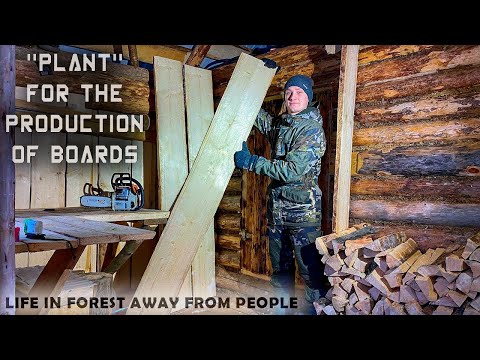 Leben im Wald abseits der Menschen - WIR ÖFFNEN EINE "ANLAGE" FÜR DIE HERSTELLUNG VON BOARDS