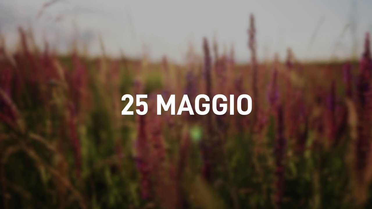 25 Maggio 2025 | Meditazione Parole di Vita
