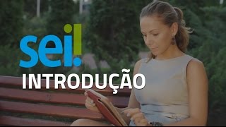 1) Introdução ao Sistema Eletrônico de Informações - SEI