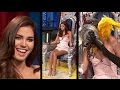 Rachell Vallori S Turn To Be Tied And Pied On The Chair Of Torture