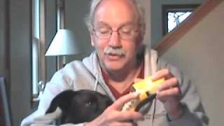 Fun with Magnetic Poetry