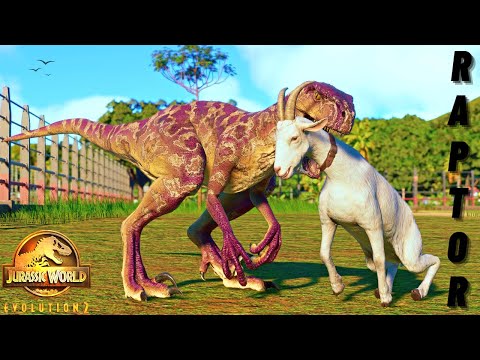 S Carnivore Dinosaurs Hunting GOAT Animation! | Jurassic World Evolution 2 🦖