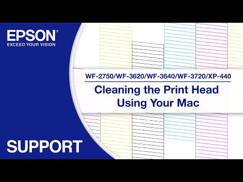 Cleaning the Print Head via Mac