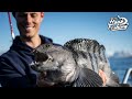 Catching An Evil Creature The Wolf Fish