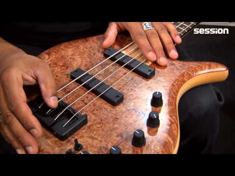 ELRICK BASS GUITARS Gold Series e-volution 4-String Bolt-On Burled Maple