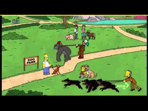 Me and my arrow - The Simpsons