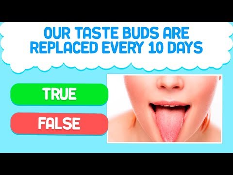 TRUE OR FALSE? 20 Question and answers |Test/Trivia/Quiz | BAZUM