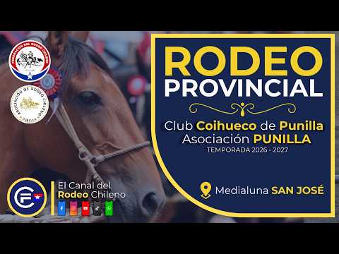 Serie de Campeones - Rodeo Provincial Club Coihueco De Punilla - Asociacion Punilla