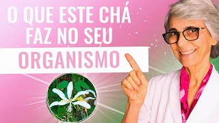 Pata de vaca: diabetes, coagulação, gastrite, câncer…