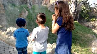 Rozando al leopardo