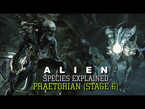 The Praetorian Xenomorph (Praetorian and Crusher/Charger) Stage 6 XX121 - Alien Species Explained