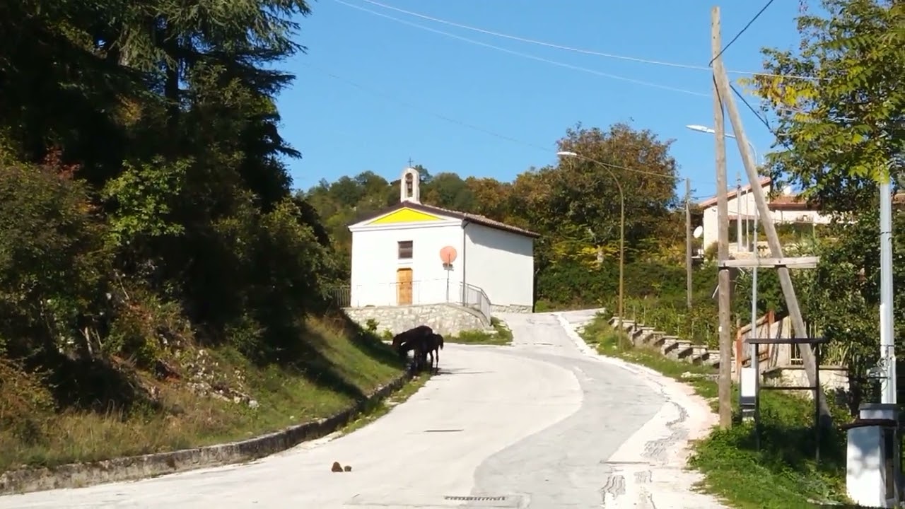 Montenero Val Cocchiara, auto sul Pantano tutelato e cavalli in giro anche di notte