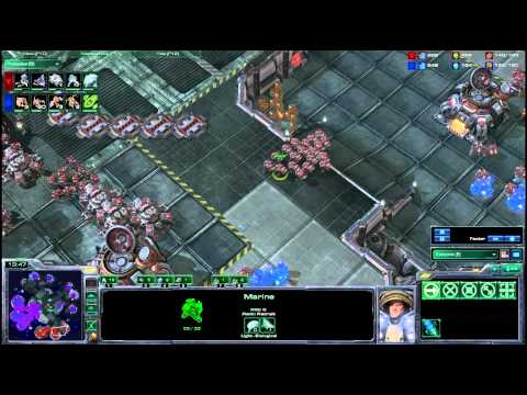 HDWT Semifinal B: Sen v Strelok g2