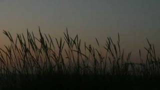 tout doucement - feist (sara santos).avi