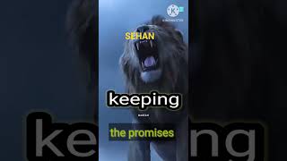 Download lagu Sigma rule 💔 || Motivational quotes #sigma #sigmarule #status_video #sad #viral #trending #forest mp3