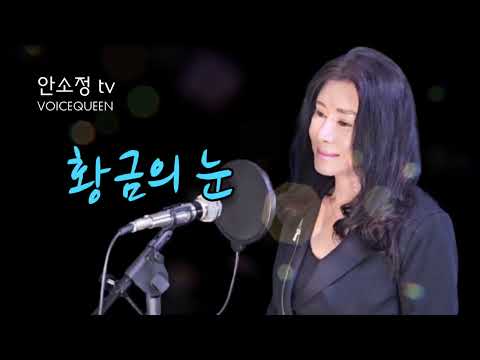 정통 트롯 배호 명곡 &#39;황금의 눈&#39; - COVER BY DYK 안소정