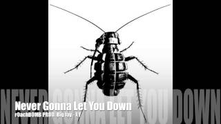 r0achB0MB - Never Gonna Let You Down