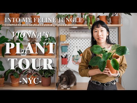 Plant Tour Winter 2021 l NYC Apartment 100+ Complete House plant Collection | Pt. 1 + 2