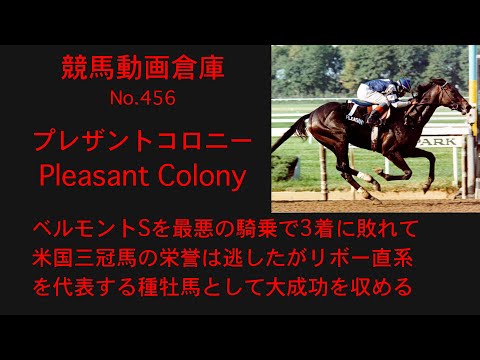 【競馬】プレザントコロニー　Pleasant Colony【No456】