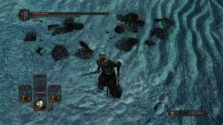 Dark Souls 2 - Killing Fume Knight with dual broken swords