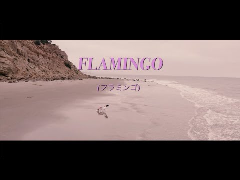 MiSHNRZ - Flamingo (Official Music Video)