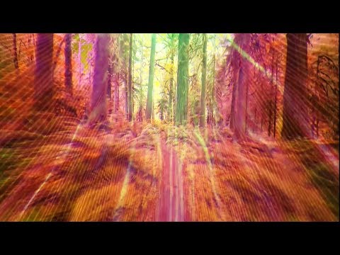 Piano Moods 03 - Crepúsculo / Twilight  by Rainer Struck (epic piano music)