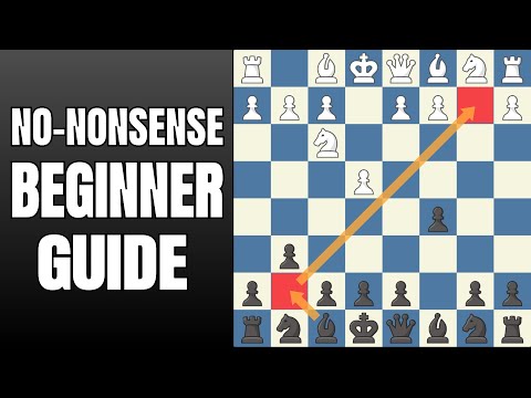 BEGINNER GUIDE TO THE DRAGON