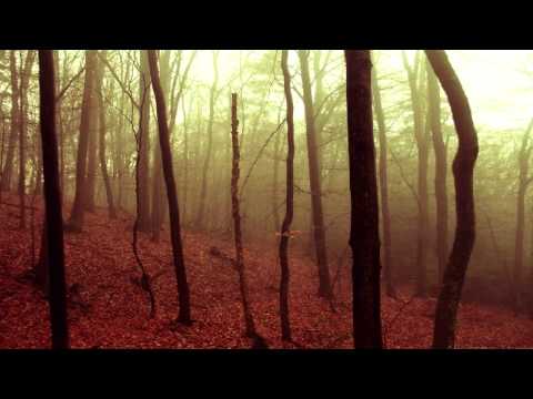 Zero T & Riya - Stolen Moments (Alternative Mix)