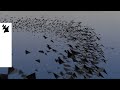Jan Blomqvist - Carry On (EarthLife Remix) [Official Visualizer]