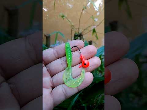 how to put a lure on a jig head #lure #fishing #jighead #bait #softlure #tutorial #tips