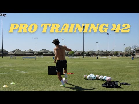 Professional Training #42
