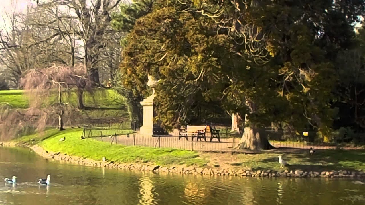 Цифровой фотоаппарат Nikon Coolpix S33 желтый с рюкзаком