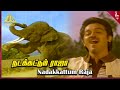 Ram Lakshman Movie Songs Nadakkattum Raja Video Song Kamal Haasan Sripriya Ilaiyaraaja