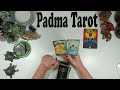 GEMINI ️UNLOCK THIS CAGE IT S TIME TO SET YOU FREE Bonus Tarot Reading
