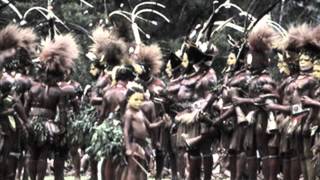 FSOL - Papua New Guinea 3 Original Gathering