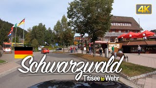Driver’s View: Driving through the Schwarzwald from Titisee to Wehr, Germany🇩🇪