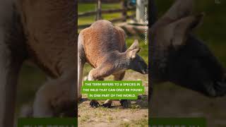 Endemic species can only be found in one part of the world #shorts